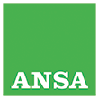 Ansa